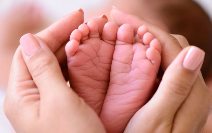 Careers Focused on Pregnancy Careers Focused on Pregnancy