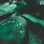 Nature Deficit Disorder’s Very Real Effects 