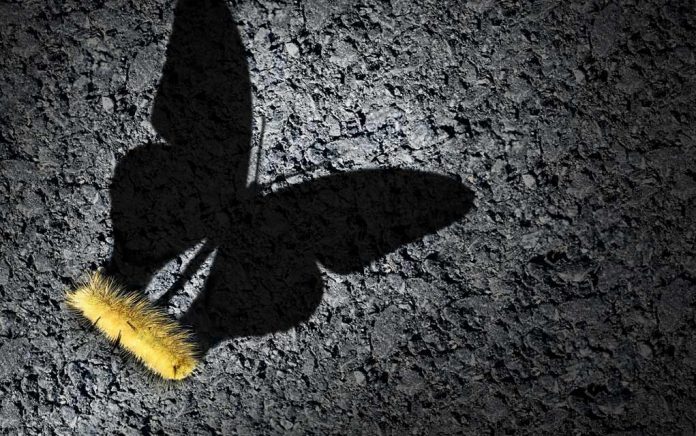 Still Struggling? Maybe Effort Isn’t What’s Missing Still Struggling? Maybe Effort Isn’t What’s Missing