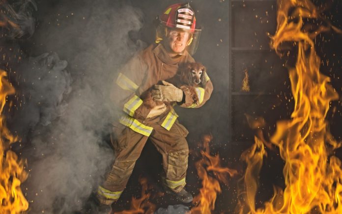 Scary! Pups Starts House Fire Scary! Pups Starts House Fire