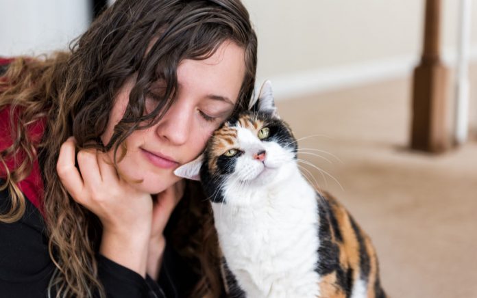 Cat Proves Love and Patience Conquer All Cat Proves Love and Patience Conquer All