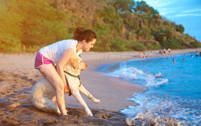 This Dog Refuses to Be a Wet Blanket