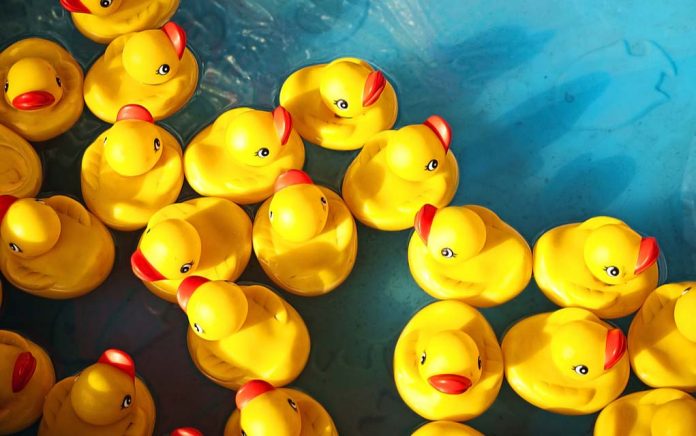 5 Random Facts You Won't Believe 5 Random Facts You Won't Believe