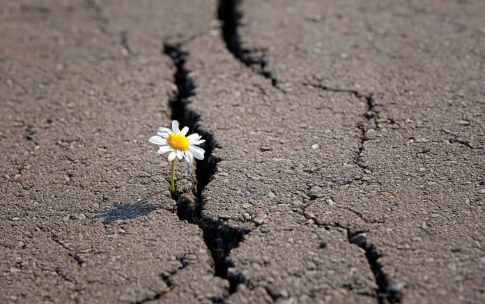 This Is Why You Struggle to Change This Is Why You Struggle to Change