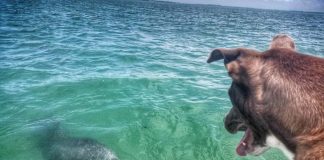 Finding BFFs in The Strangest Places