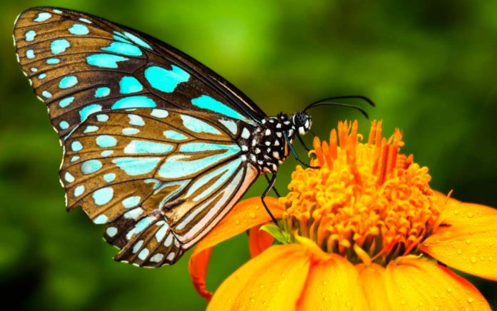 Even the Earth Is Creative -- Here's Proof Even the Earth Is Creative -- Here's Proof