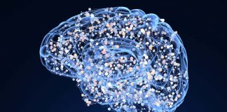 5 Ways to Grow New Brain Cells