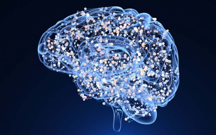 5 Ways to Grow New Brain Cells 5 Ways to Grow New Brain Cells
