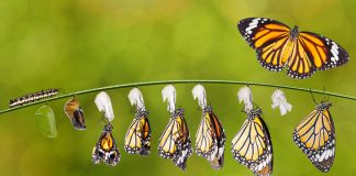 Listen, You Are Going To Shine