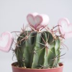 If You Feel Stuck, Watch This If You Feel Stuck, Watch This