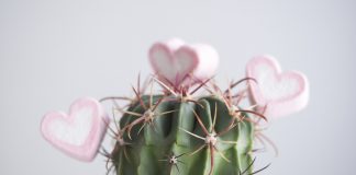 If You Feel Stuck, Watch This