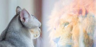 How to Show Up for Yourself