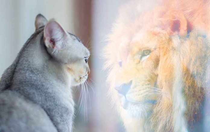 How-to-Show-Up-for-Yourself How to Show Up for Yourself