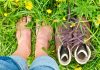 Grounding With Nature for Health and Balance