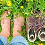 Grounding With Nature for Health and Balance