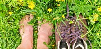 Grounding With Nature for Health and Balance