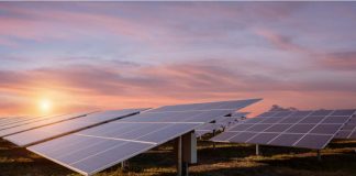 This Student Made Solar Energy Even Cheaper