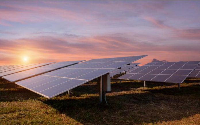 This-Student-Made-Solar-Energy-Even-Cheaper This Student Made Solar Energy Even Cheaper