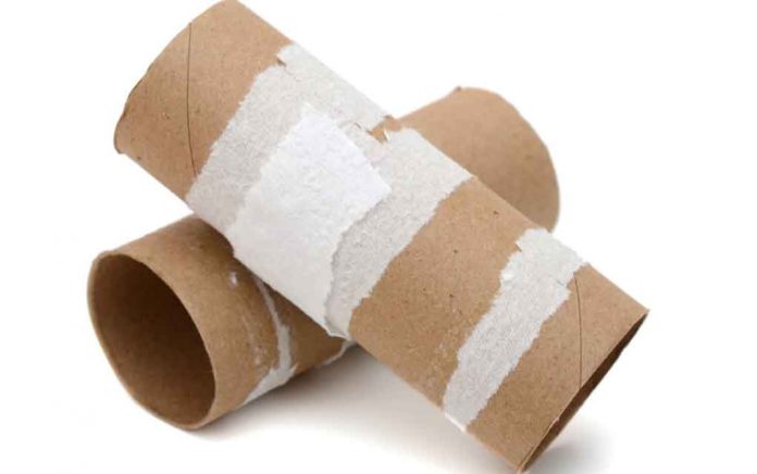 Dont-Toss-That-Toilet-Paper-Roll-Just-Yet Don't Toss That Toilet Paper Roll Just Yet