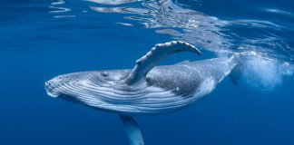 Proof We Are All In This Together