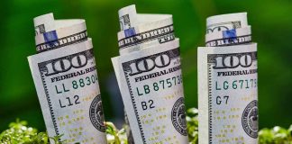 The Three Hottest Businesses to Start in 2021