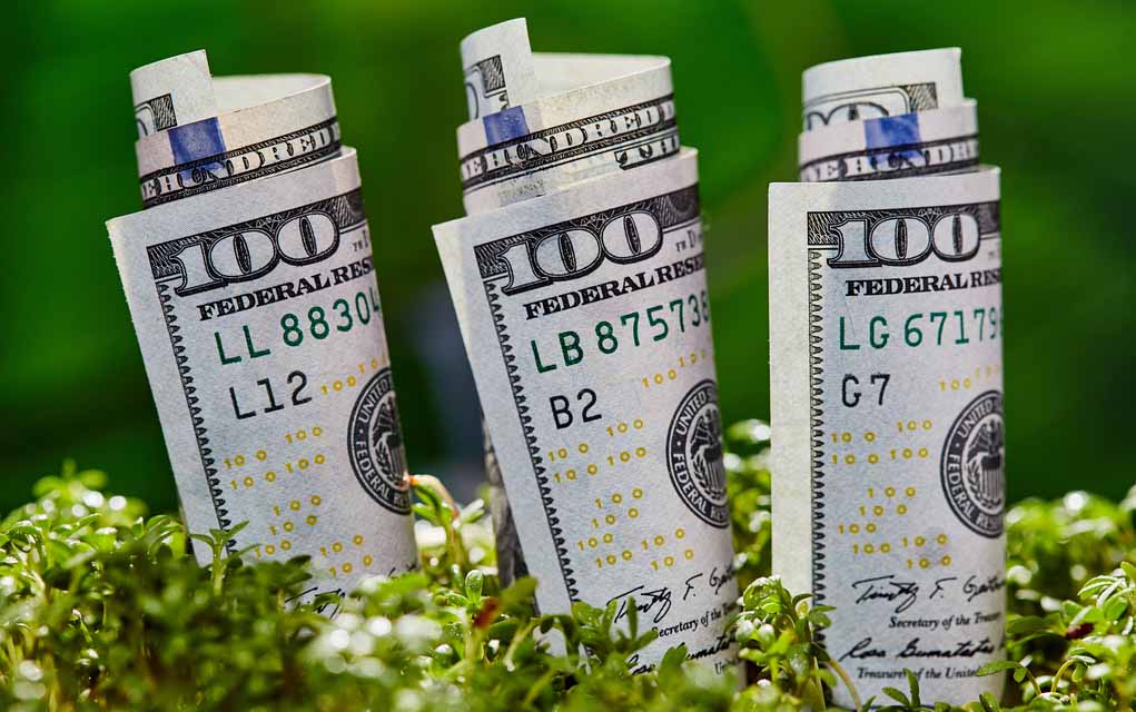 The Three Hottest Businesses to Start in 2021 Given Us