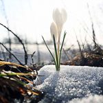 Spring — Fresh Start for All