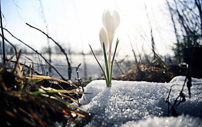 Spring — Fresh Start for All